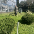 Отчет по субботникам.