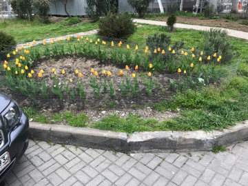 Готовимся к летнему сезону.